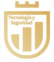 Tecnología y Seguridad SpA